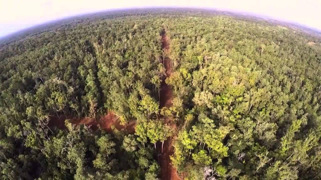 Hamparan hutan hijau terlihat dari udara.